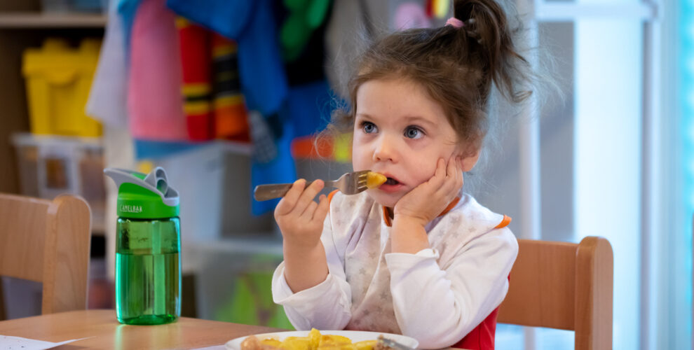 Healthy eating for picky eaters